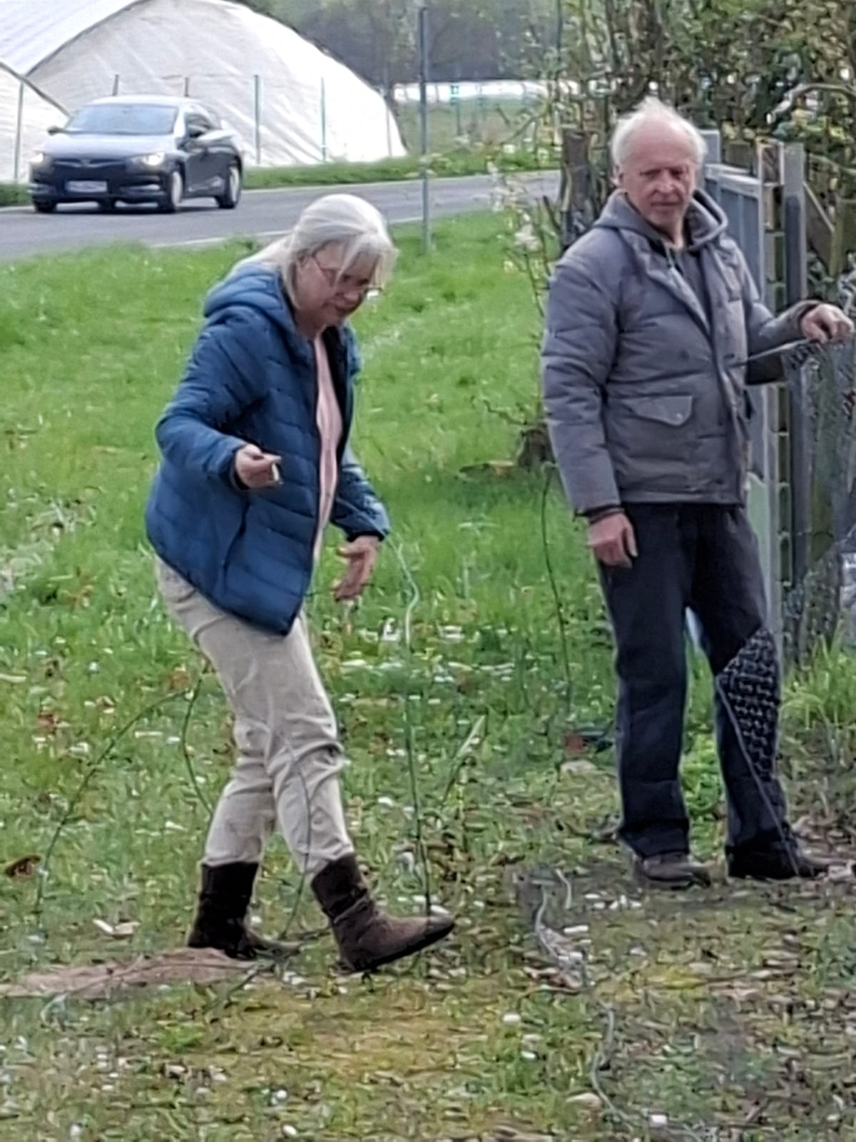 Bild nicht vorhanden