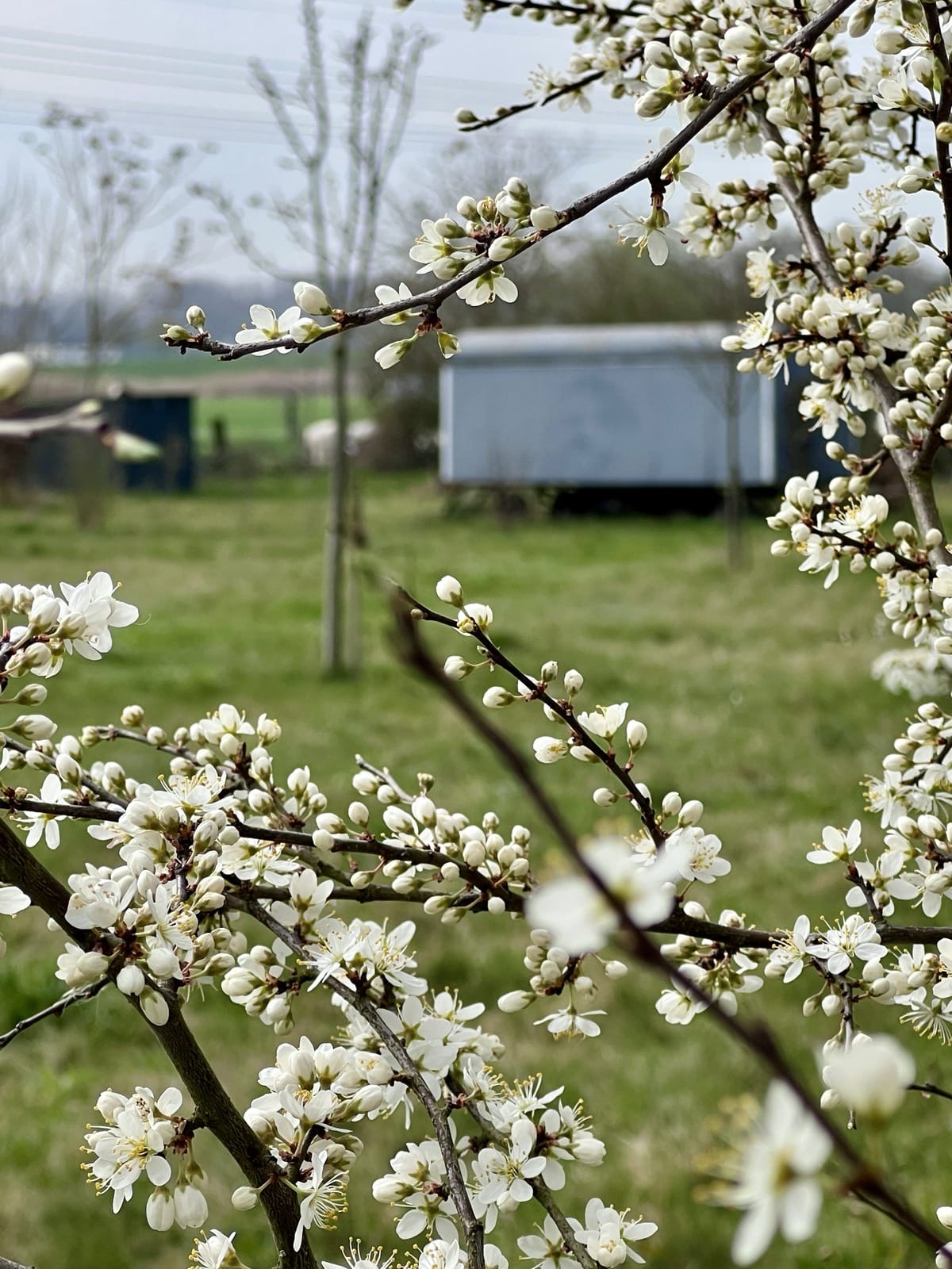 Bild nicht vorhanden