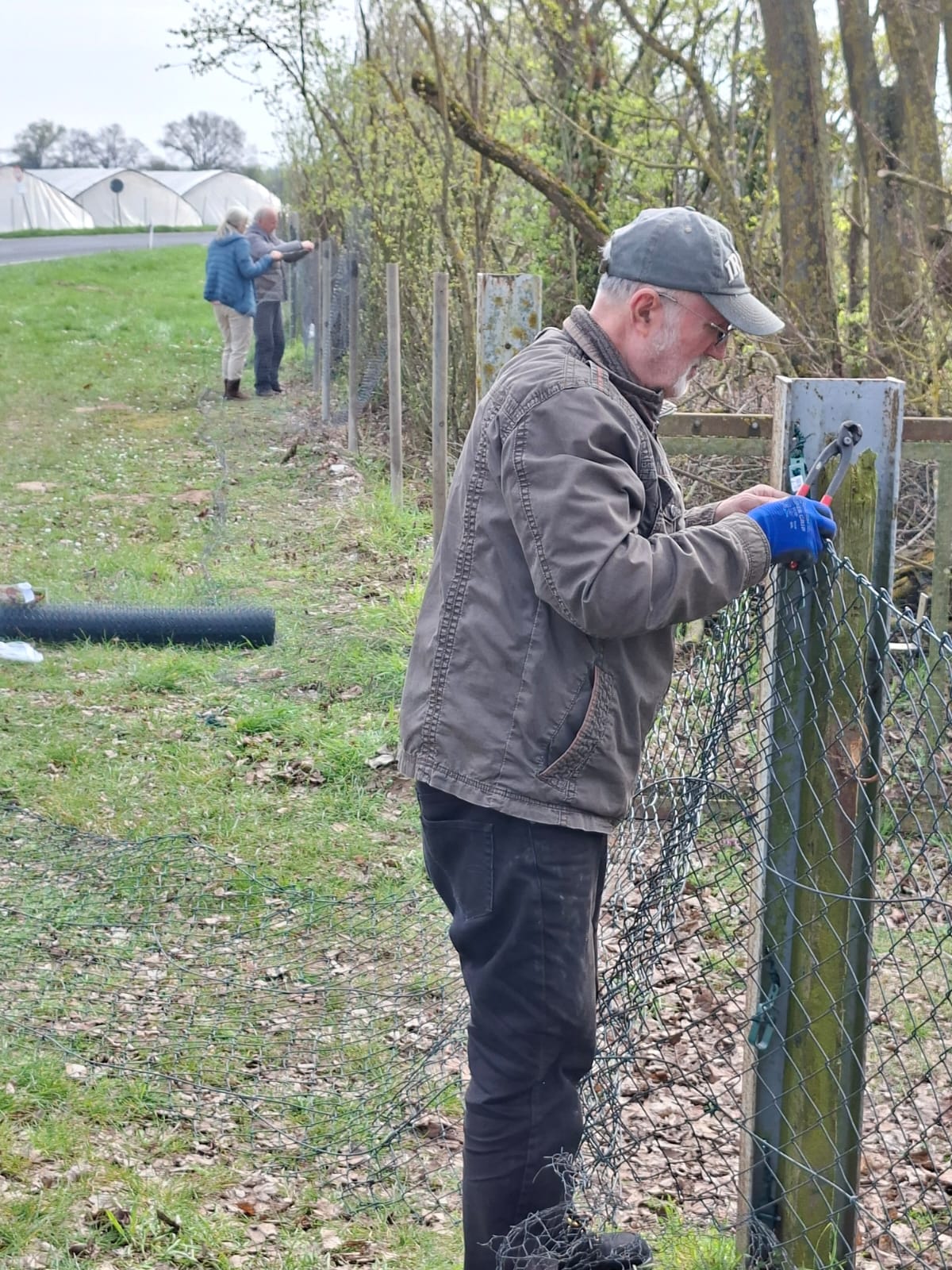 Bild nicht vorhanden