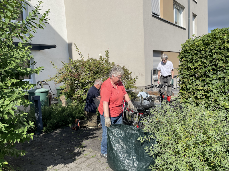 Bild nicht vorhanden