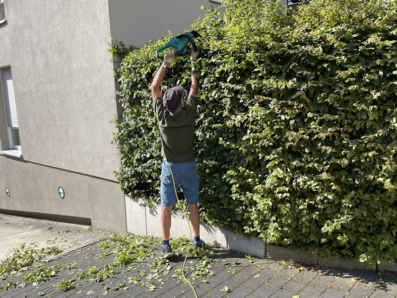 Bild nicht vorhanden