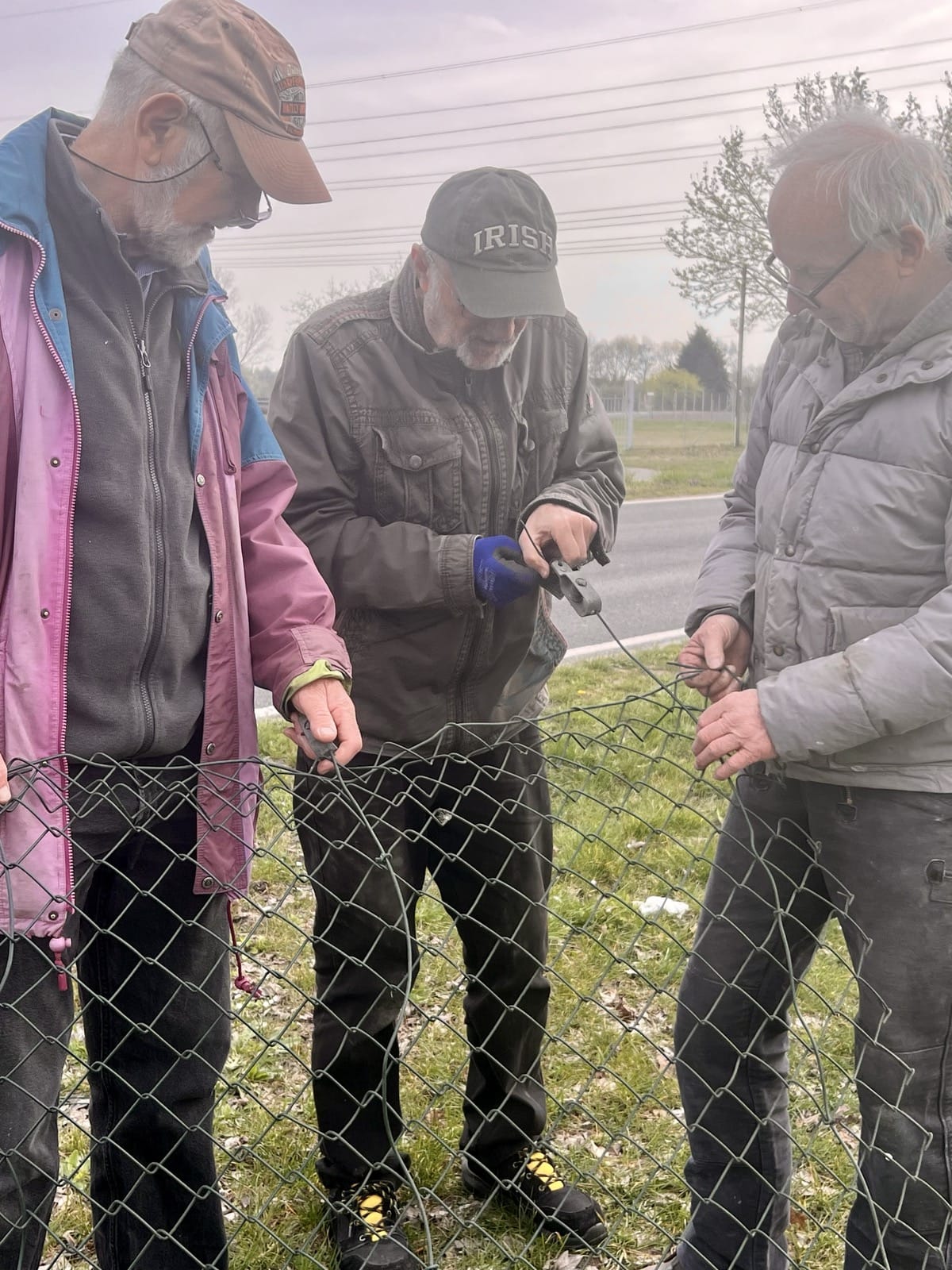 Bild nicht vorhanden